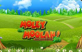 Moley Moolah