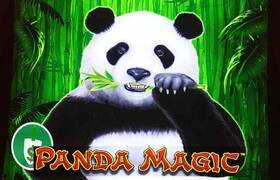 Panda Magic