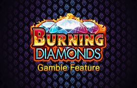 Burning Diamonds Gamble Feature