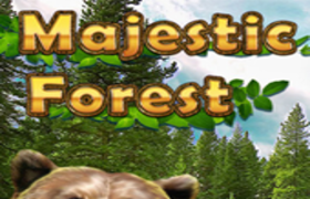 Majestic Forest